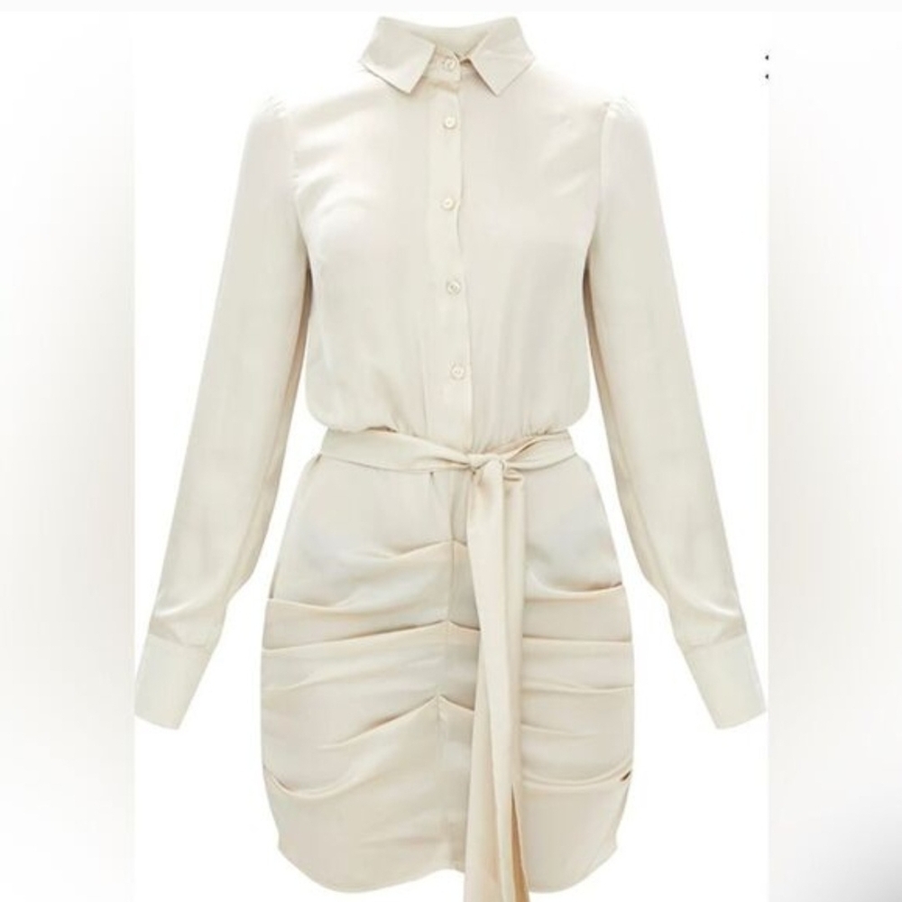 Elegant Champagne Tie-Waist Dress - Picture 5 of 5